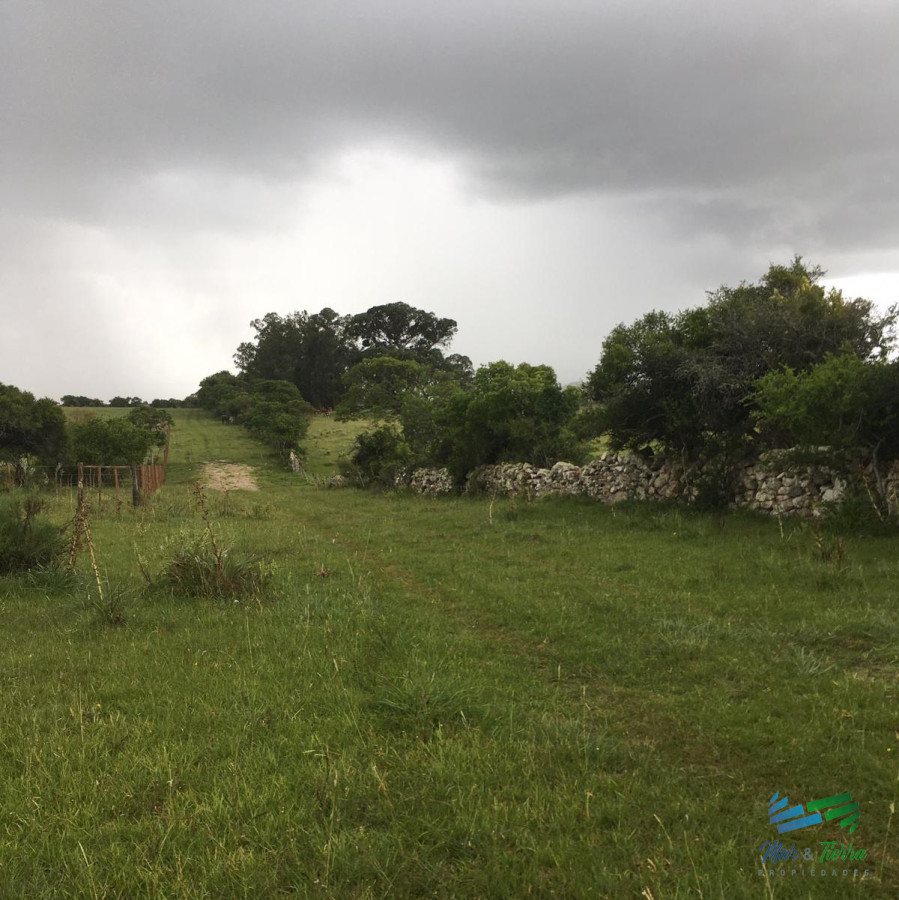 Pueblo Eden - GoPunta - Portal Inmobiliario de Punta del Este - Maldonado
