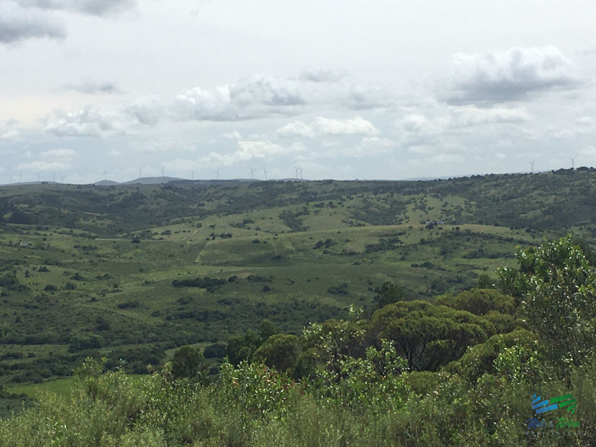 Chacras con vistas increibles, monte nativo, naturaleza y tranquilidad
