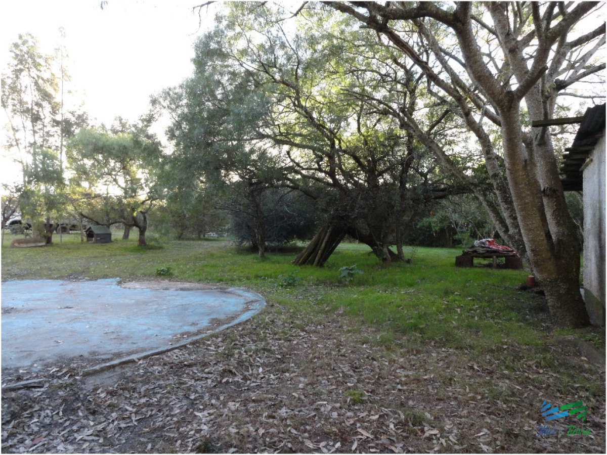 Zona Rural - GoPunta - Portal Inmobiliario de Punta del Este - Maldonado