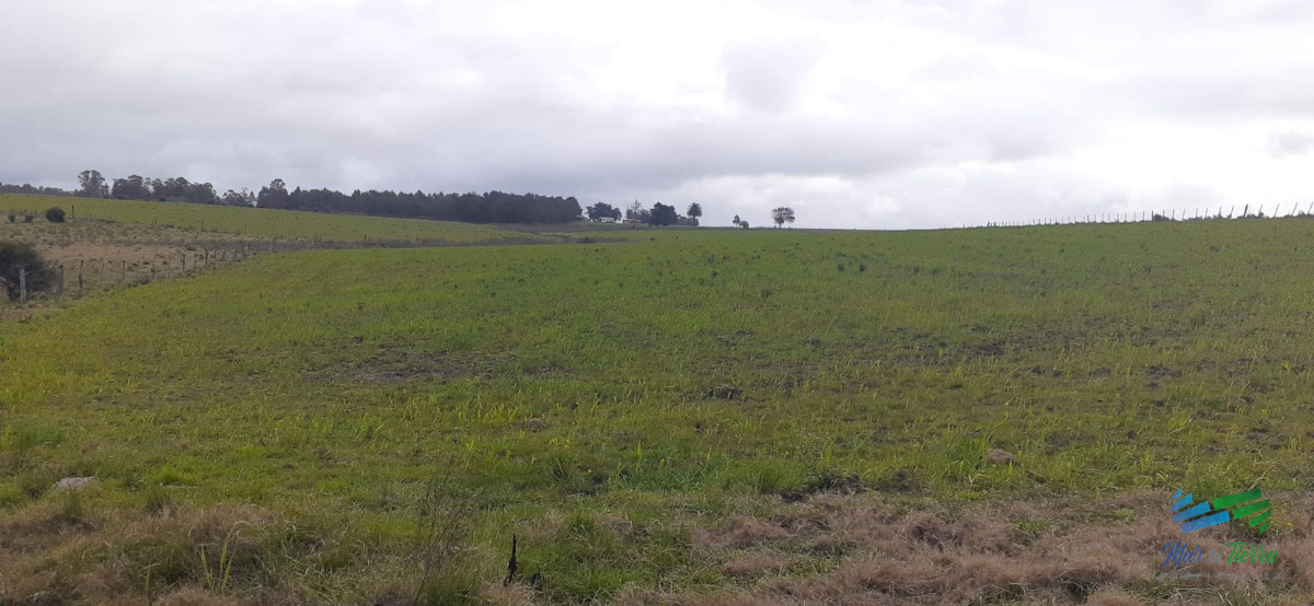 18 Has R.9, Km 80