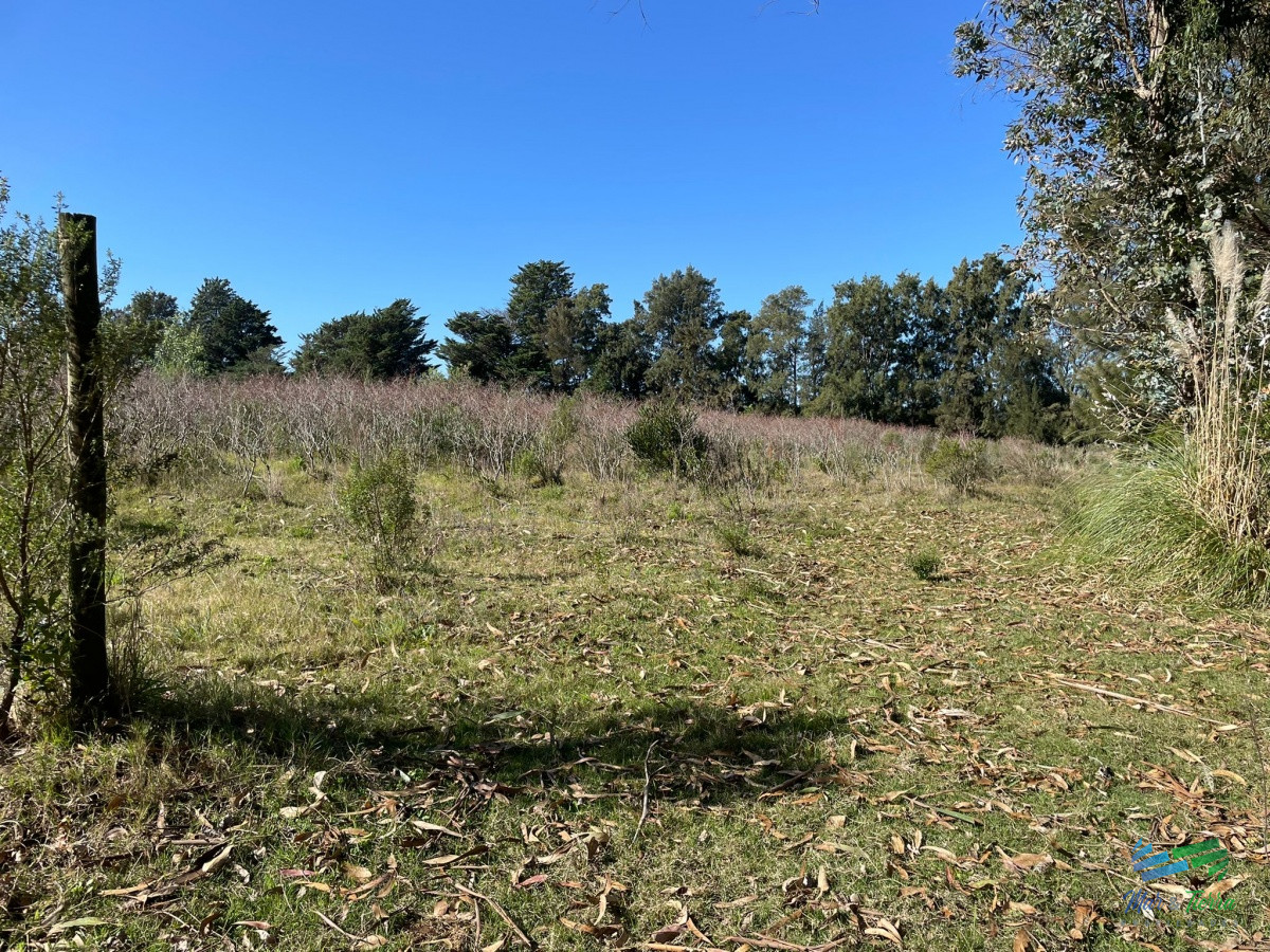 Zona Rural - GoPunta - Portal Inmobiliario de Punta del Este - Maldonado
