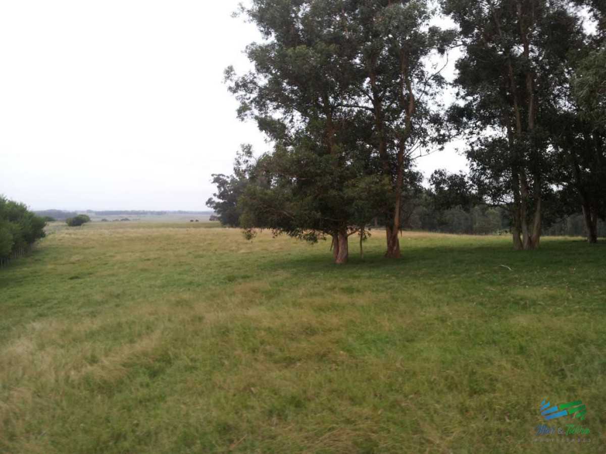 Zona Rural - GoPunta - Portal Inmobiliario de Punta del Este - Maldonado