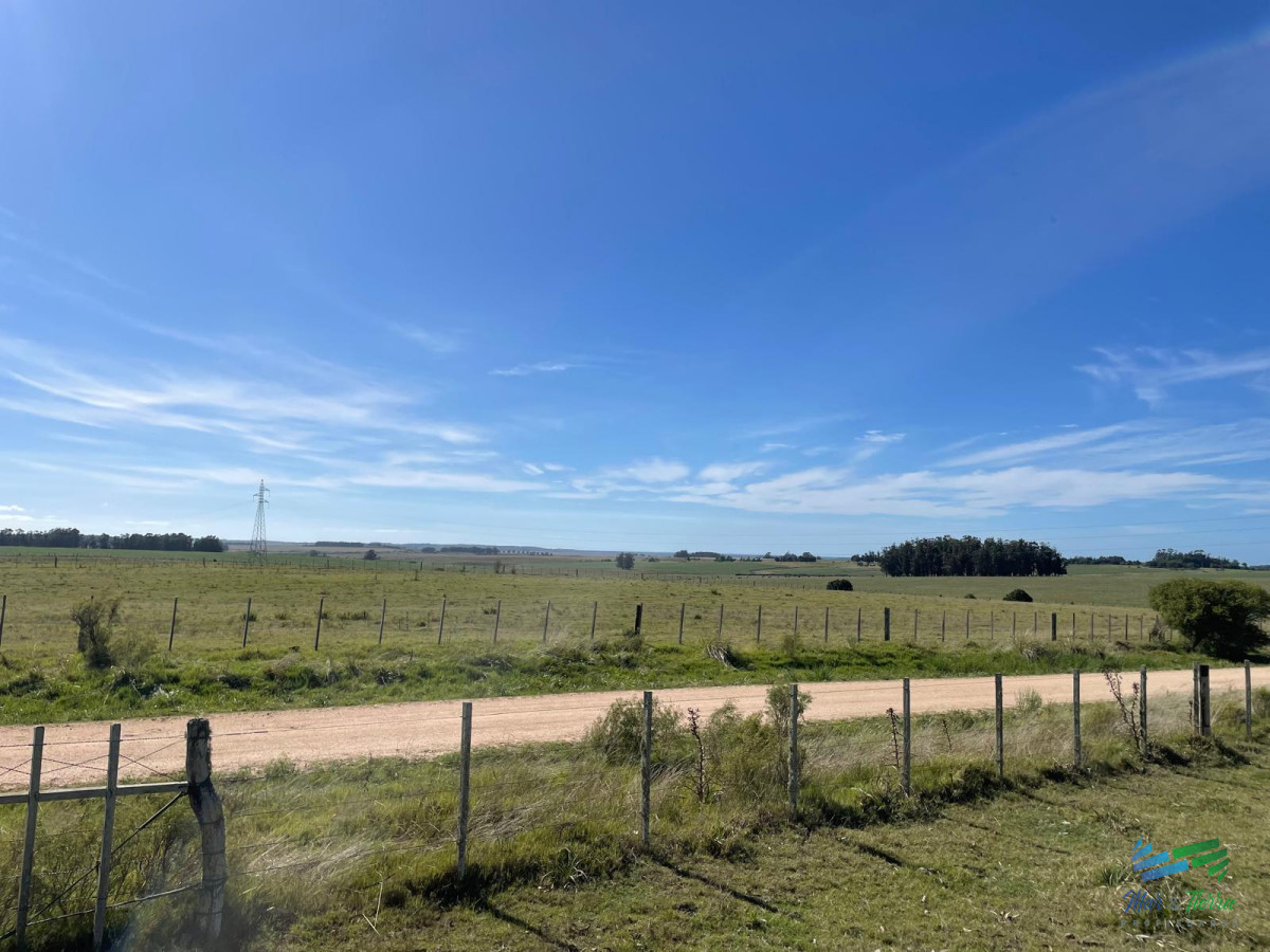 Chacra ID.5248 - Linda Fracción a 15 minutos de José Ignacio, Arroyo y Arbolada, no se la pierda !