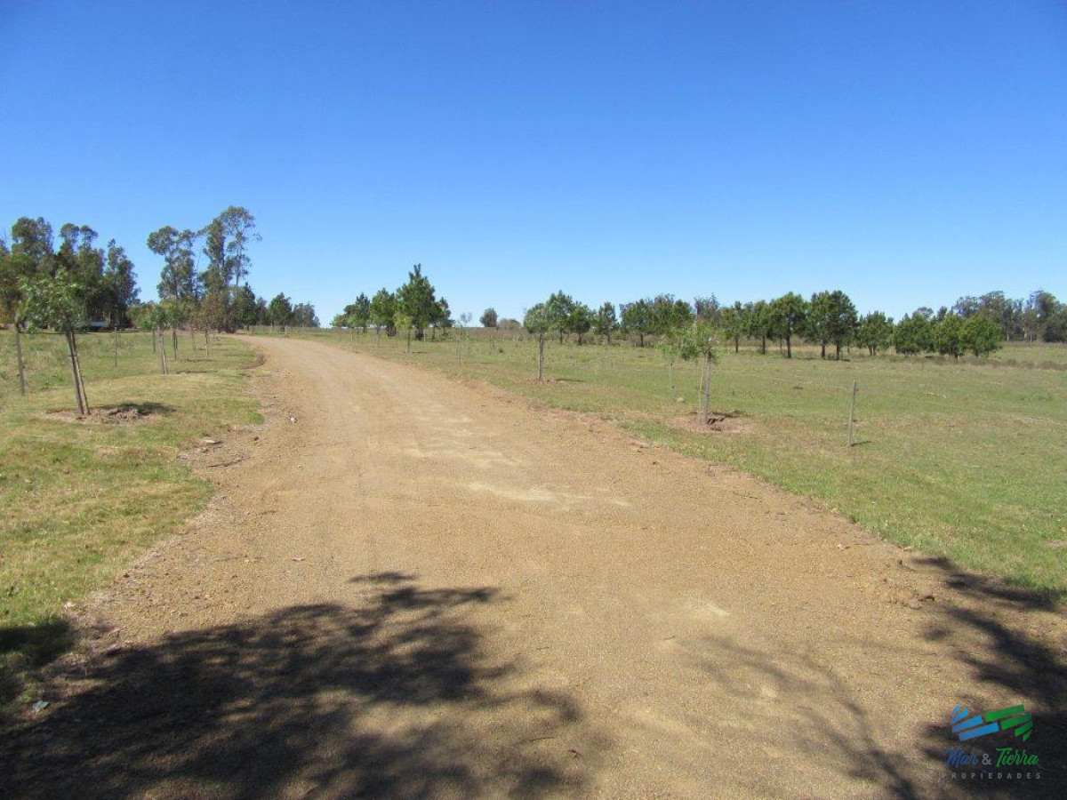 Chacra ID.3877 - 7 Has con casa a 1 hora de Mdeo y Punta.