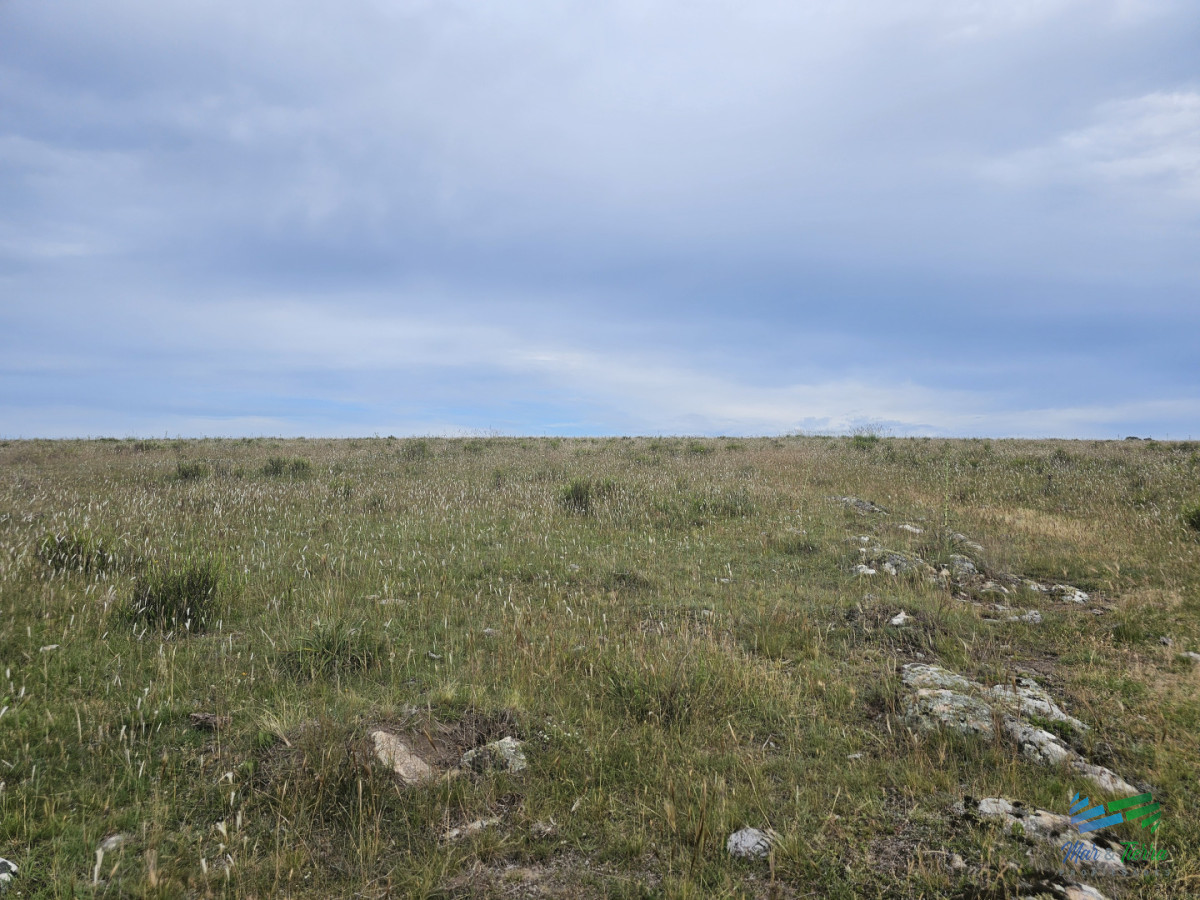 Chacra ID.5635 - En venta chacra 3 hectareas, proxima ruta 39, a pocos km de San Carlos.