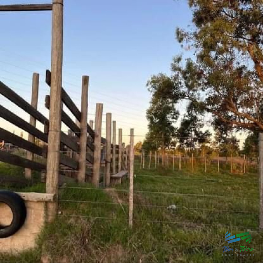San Carlos - GoPunta - Portal Inmobiliario de Punta del Este - Maldonado