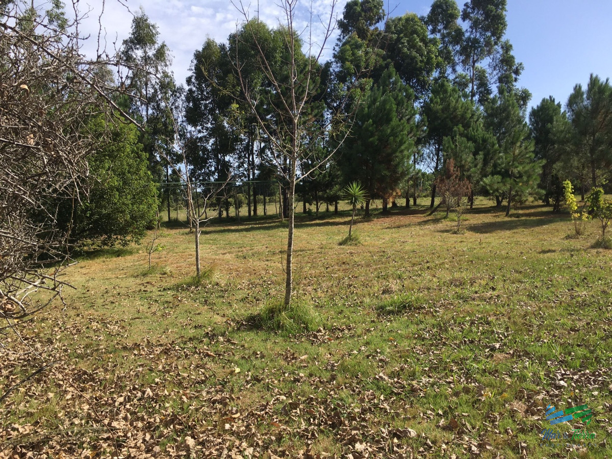 Chacra ID.4560 - Tu Oportunidad de vivir en una chacra a 5 minutos de Punta...