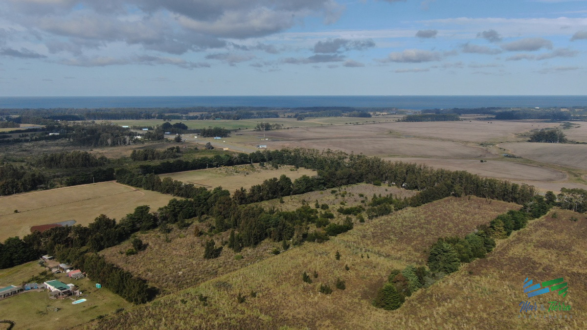 Chacra ID.3991 - Única chacra con producción de arándanos en laguna del sauce