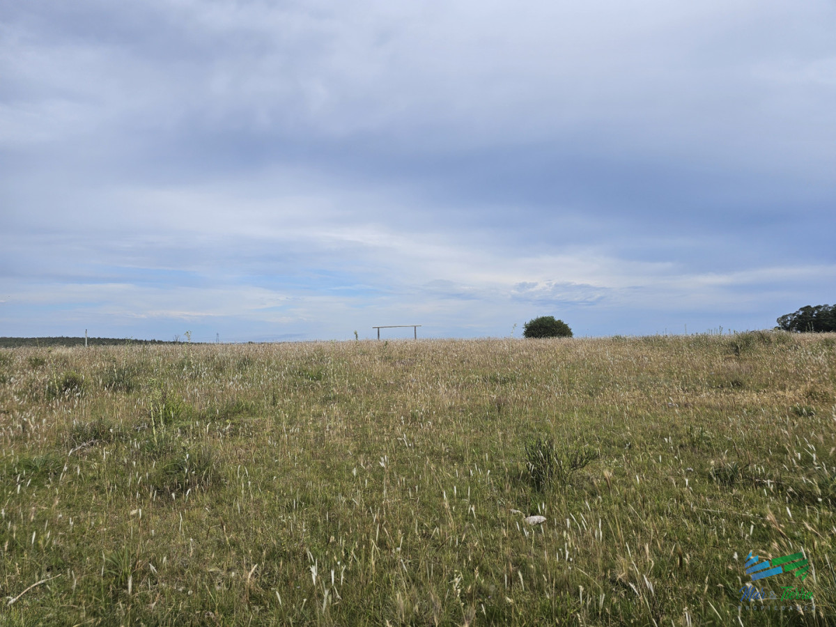 Chacra ID.5628 - En venta chacra 3 hectareas, proxima ruta 39, a pocos km de San Carlos.