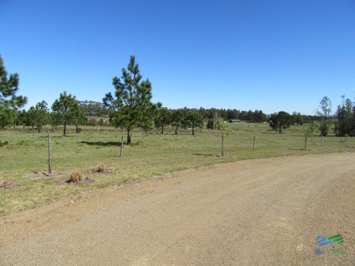 Chacra ID.3877 - 7 Has con casa a 1 hora de Mdeo y Punta.