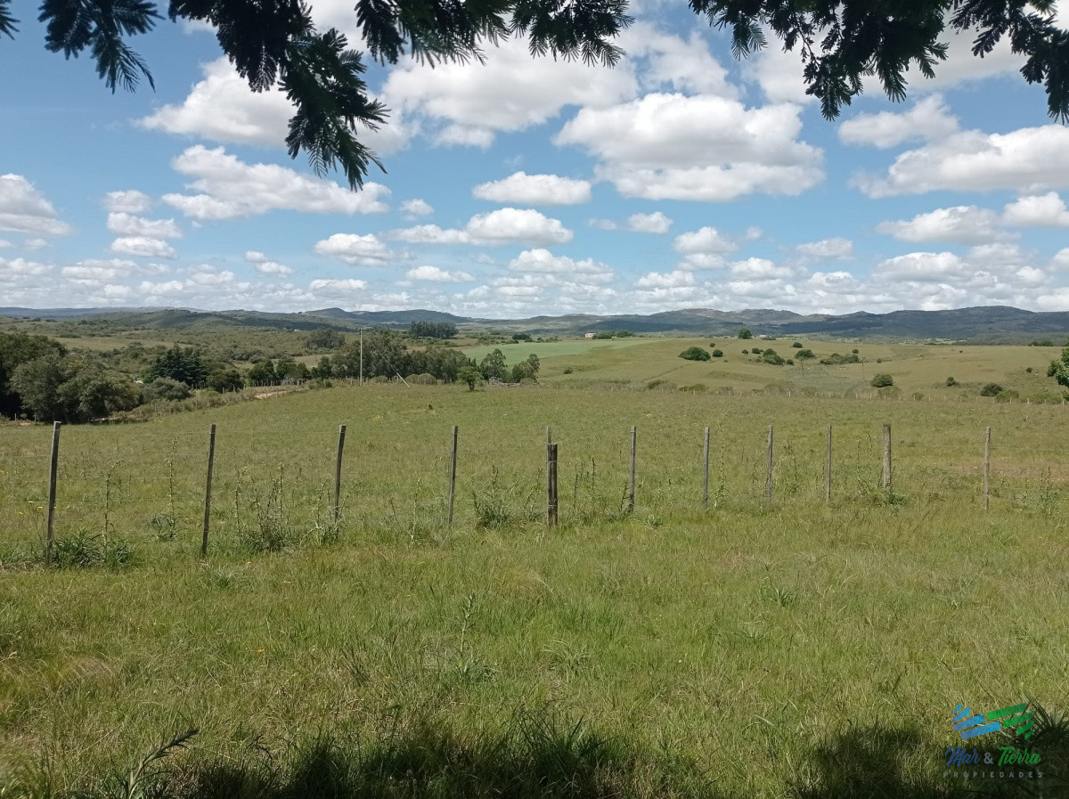 Chacra ID.3505 - Vendo Chacra 5 hectateas con casa en Ruta 39, las cañas