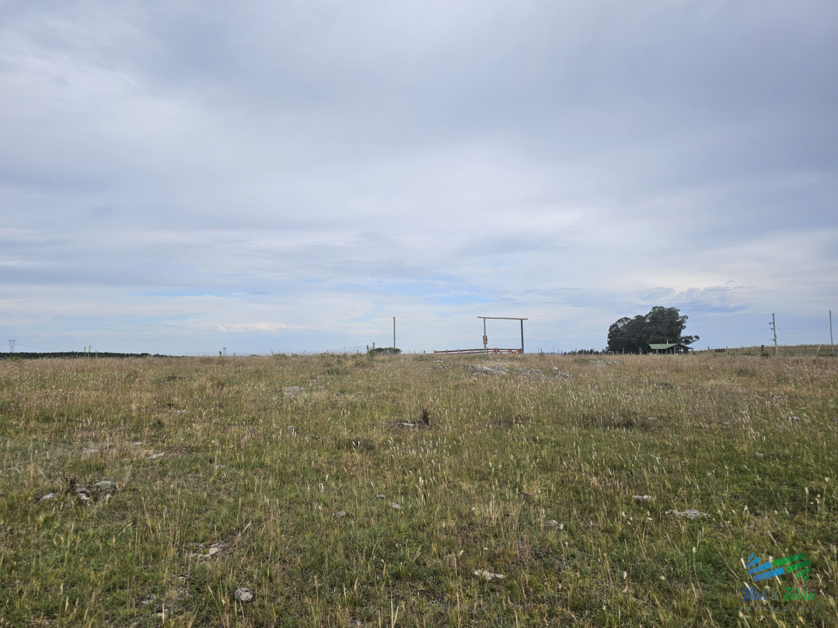 Chacra ID.5629 - En venta chacra 3 hectareas, proxima ruta 39, a pocos km de San Carlos.
