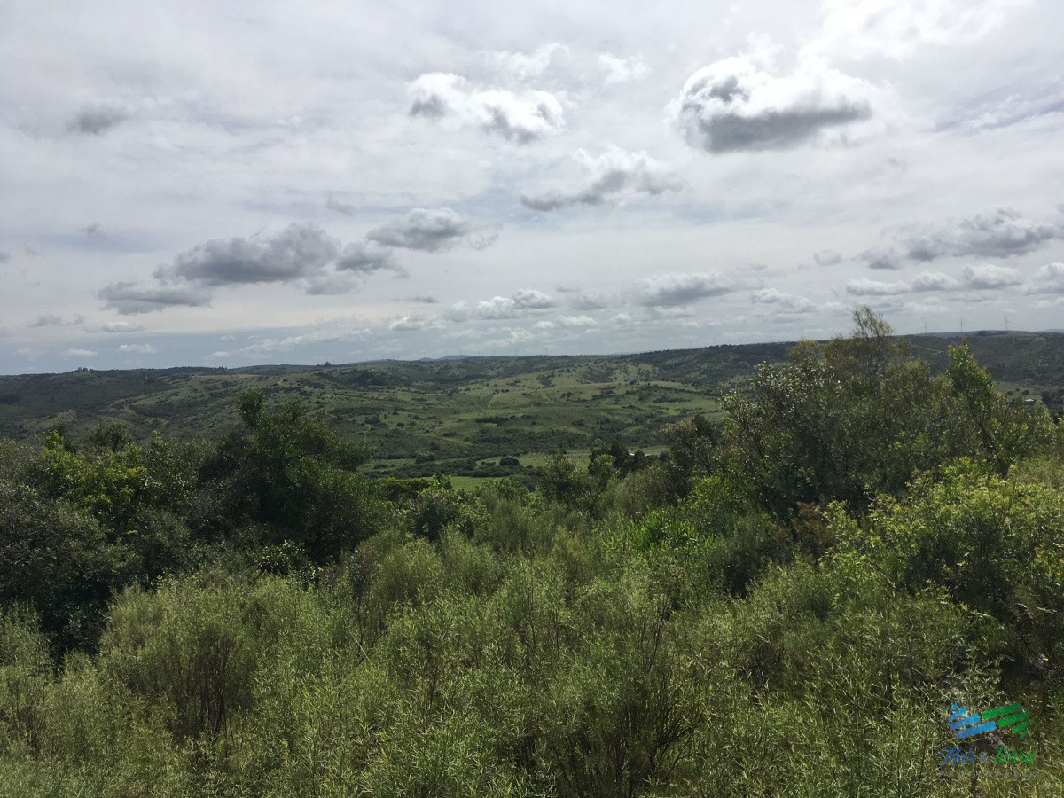Chacra ID.4144 - Chacras con vistas increibles, monte nativo, naturaleza y tranquilidad