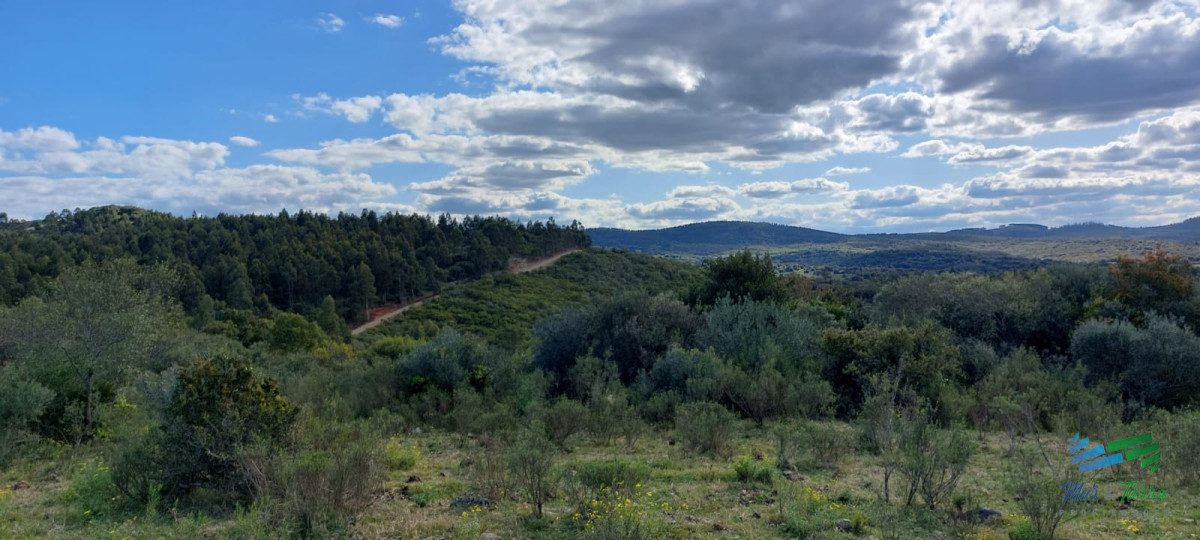 Chacra ID.4140 - 17 Has en plena Sierra de Carape, Monte Nativo y Vistas Privilegiadas