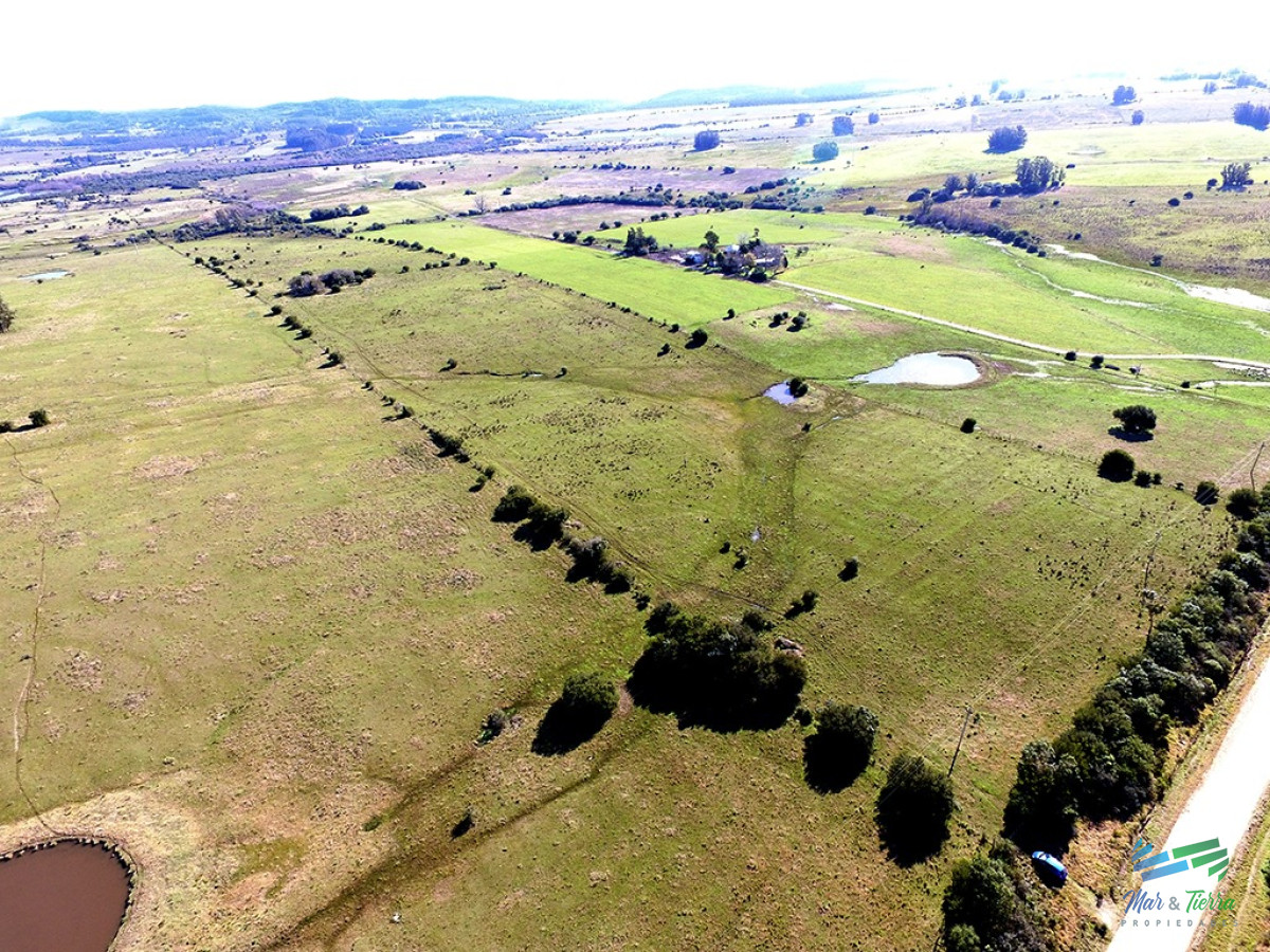 Chacra ID.4323 - Chacra con arroyo y monte nativo a 10 minutos de San Carlos y 25 de Punta