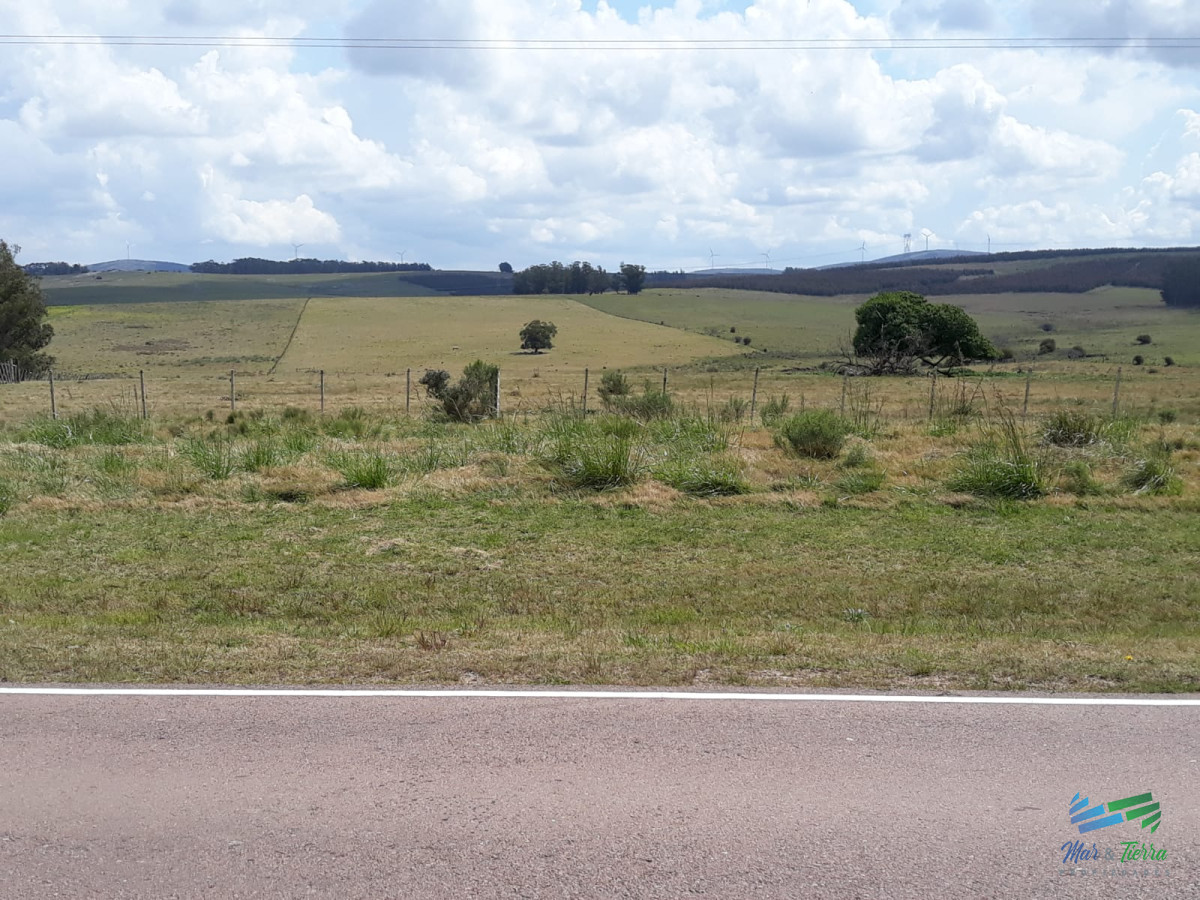 Chacra ID.4491 - Chacra 5 Has sobre R.39 a 15 Kms de Ruta 9 y 32 de Punta del Este.