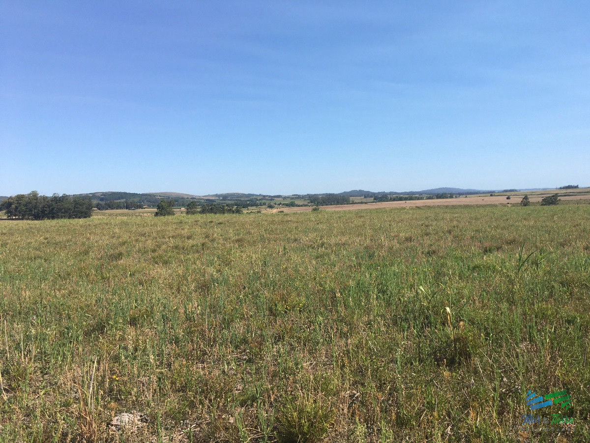 Chacra ID.3805 - 5 Has a 1 hora de Mdeo, con vistas increíbles.