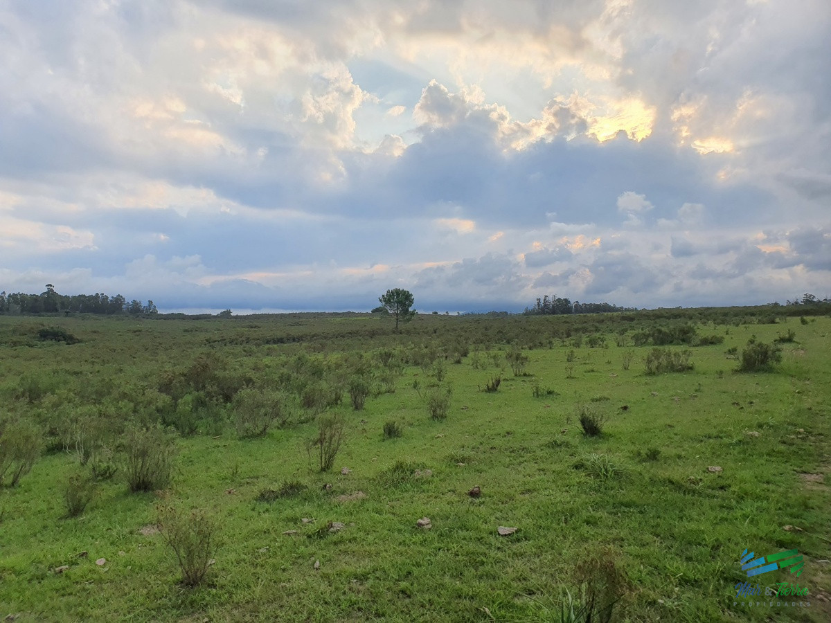 Chacra ID.4349 - Vendo chacra ruta 9, cerca de Pan de Azúcar, Maldonado. A 45´ de Punta del Este. Financia.