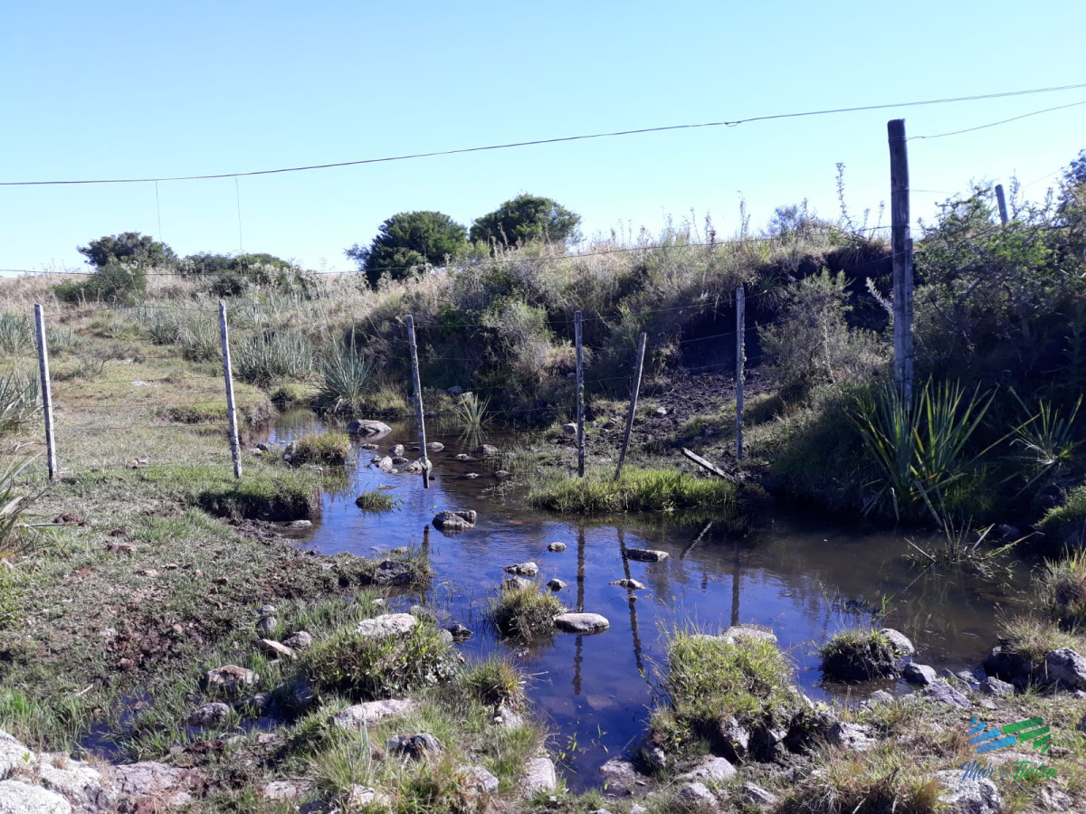 Chacra ID.4491 - Chacra 5 Has sobre R.39 a 15 Kms de Ruta 9 y 32 de Punta del Este.