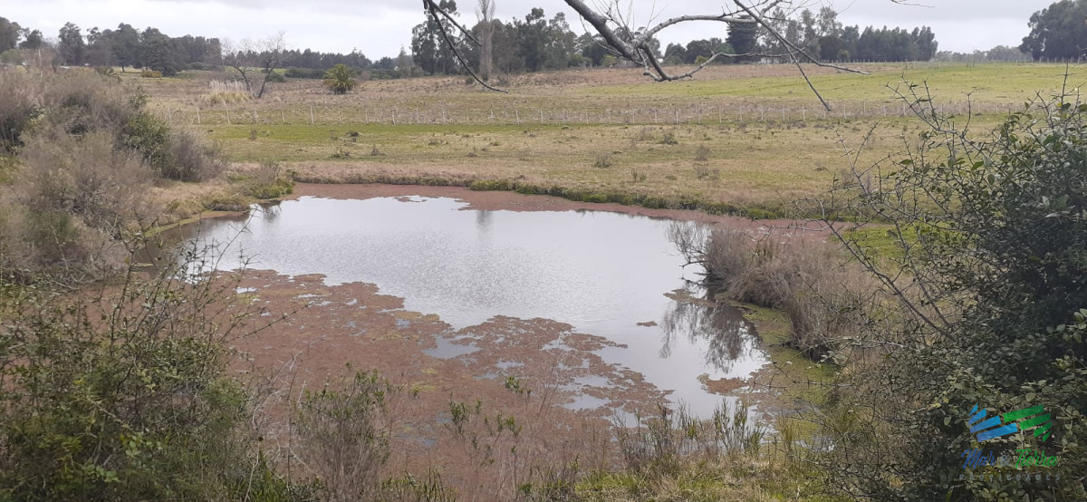 Chacra ID.4236 - 18 Has R.9, Km 80