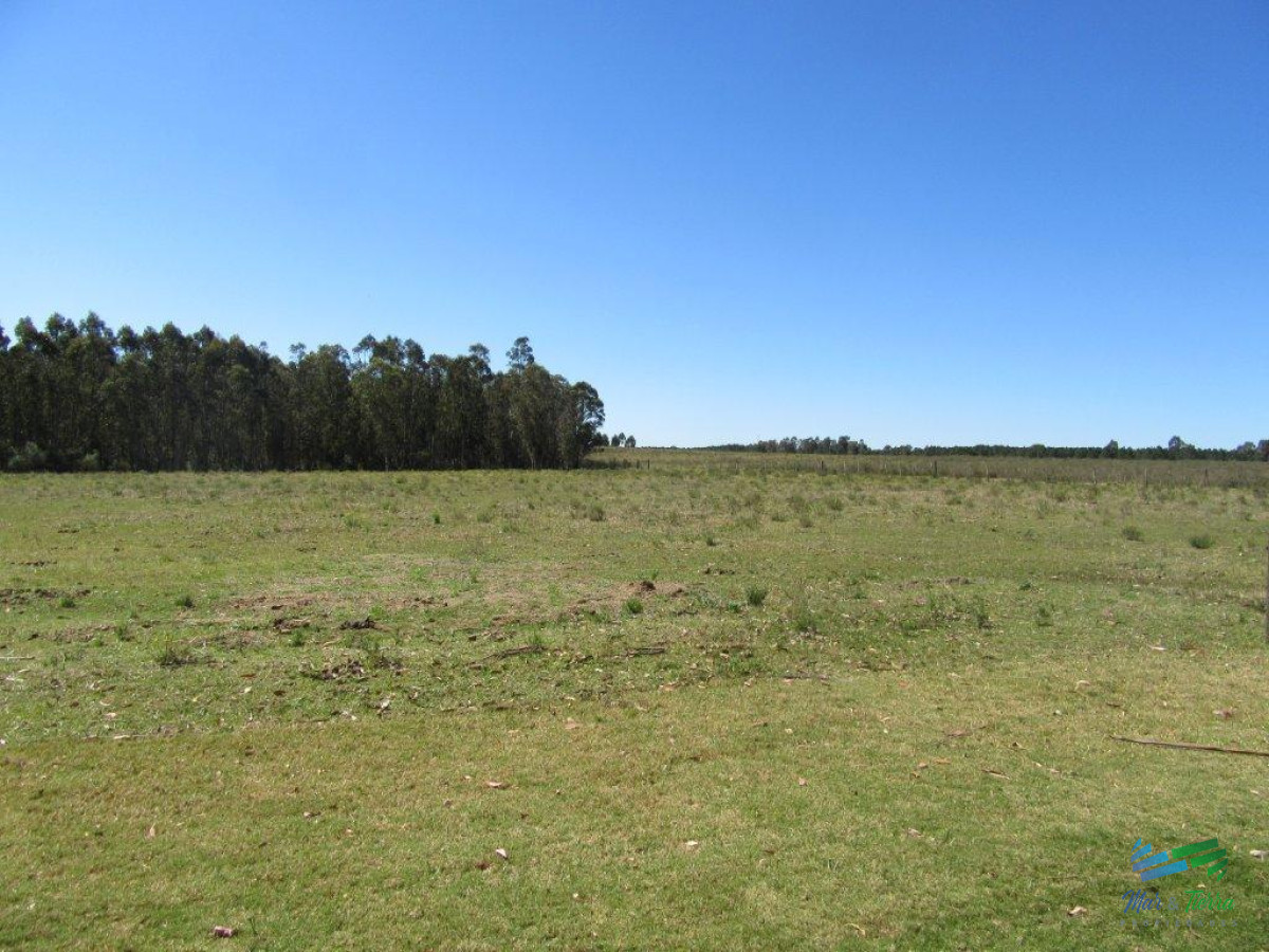 Chacra ID.3877 - 7 Has con casa a 1 hora de Mdeo y Punta.