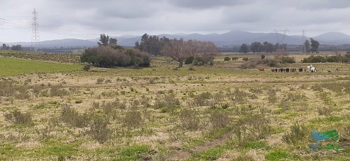 Chacra ID.4236 - 18 Has R.9, Km 80