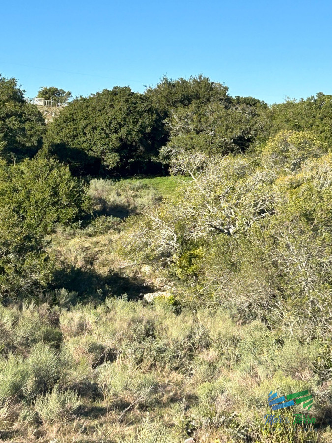 Chacra ID.5360 - Lindo campito de Recreo o para fraccionar a 30 minutos de Punta, Monte Nativo, tajamar y muy buenas vistas !