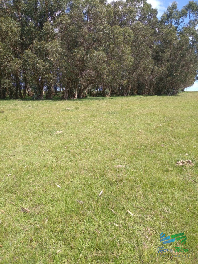 Chacra ID.3815 - 8 Has con casa a tan solo 15 minutos de Punta y 5 de San Carlos