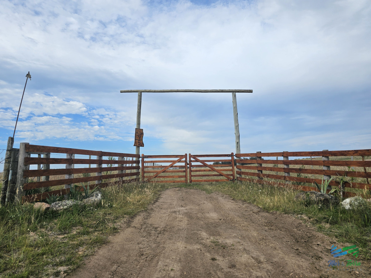 Chacra ID.5633 - En venta chacra 3 hectareas, proxima ruta 39, a pocos km de San Carlos.