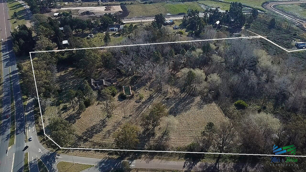 Chacra ID.5438 - Venta de chacra en Camino Lussich Punta Ballena 