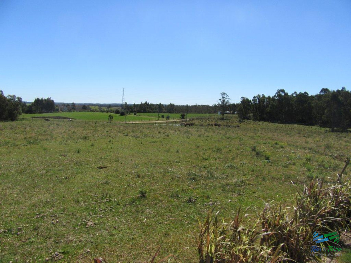 Chacra ID.3877 - 7 Has con casa a 1 hora de Mdeo y Punta.