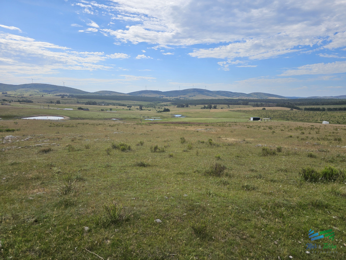 Chacra ID.5634 - En venta chacra 3 hectareas, proxima ruta 39, a pocos km de San Carlos.