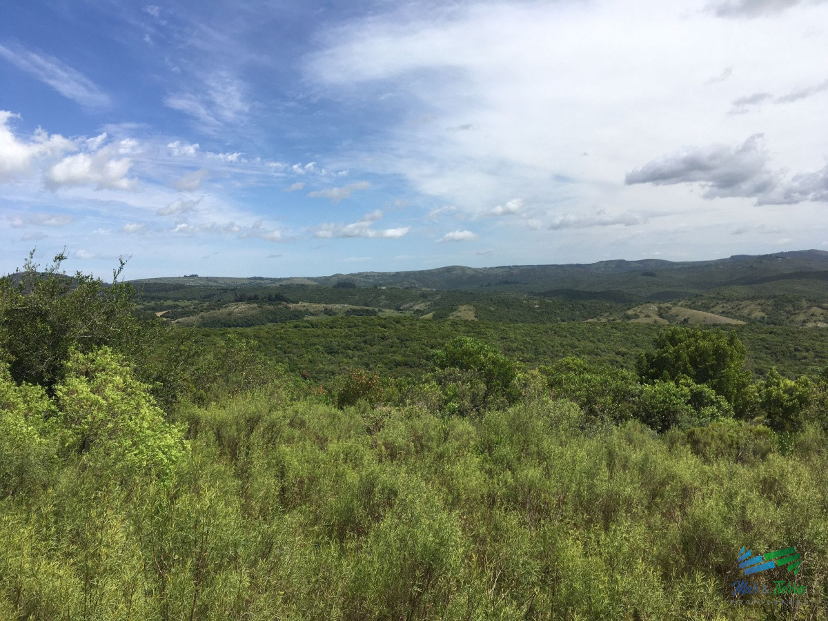 Chacra ID.4144 - Chacras con vistas increibles, monte nativo, naturaleza y tranquilidad