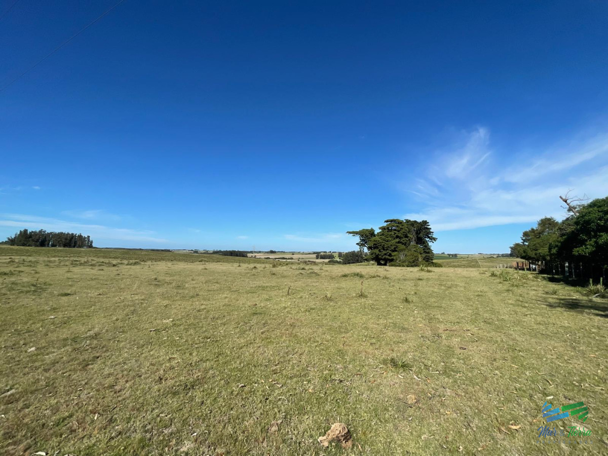 José Ignacio - GoPunta - Portal Inmobiliario de Punta del Este - Maldonado