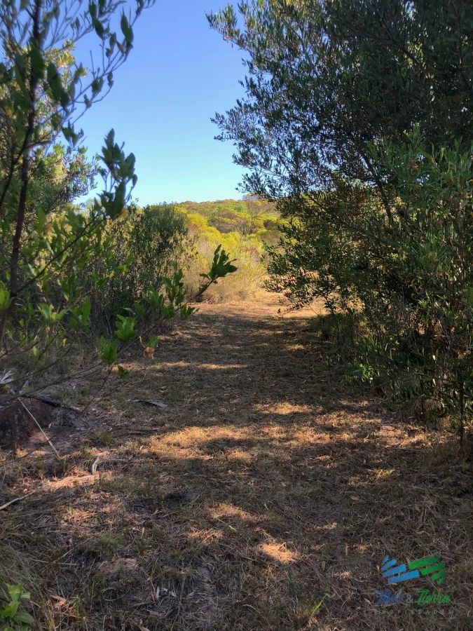 Chacra ID.4324 - Bajo de Precio ! Chacra 5 Has con casa y las mejores vistas de las sierras a 50 minutos de Punta !