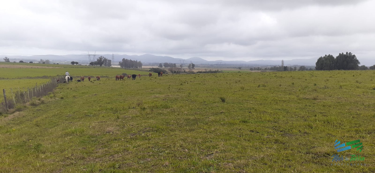 Chacra ID.4236 - 18 Has R.9, Km 80