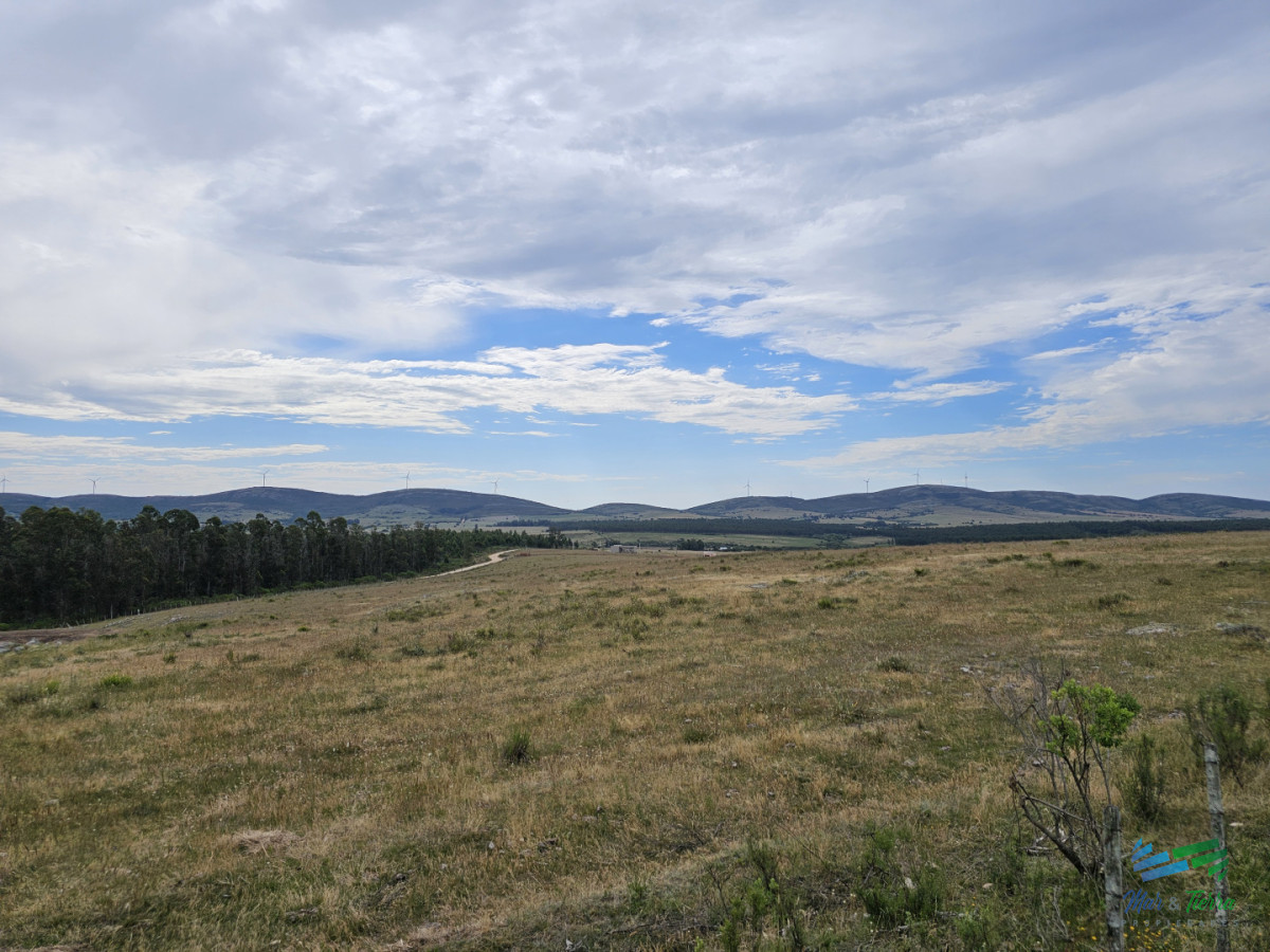 Chacra ID.5632 - En venta chacra 3,5 hectareas, proxima ruta 39, a pocos km de San Carlos.