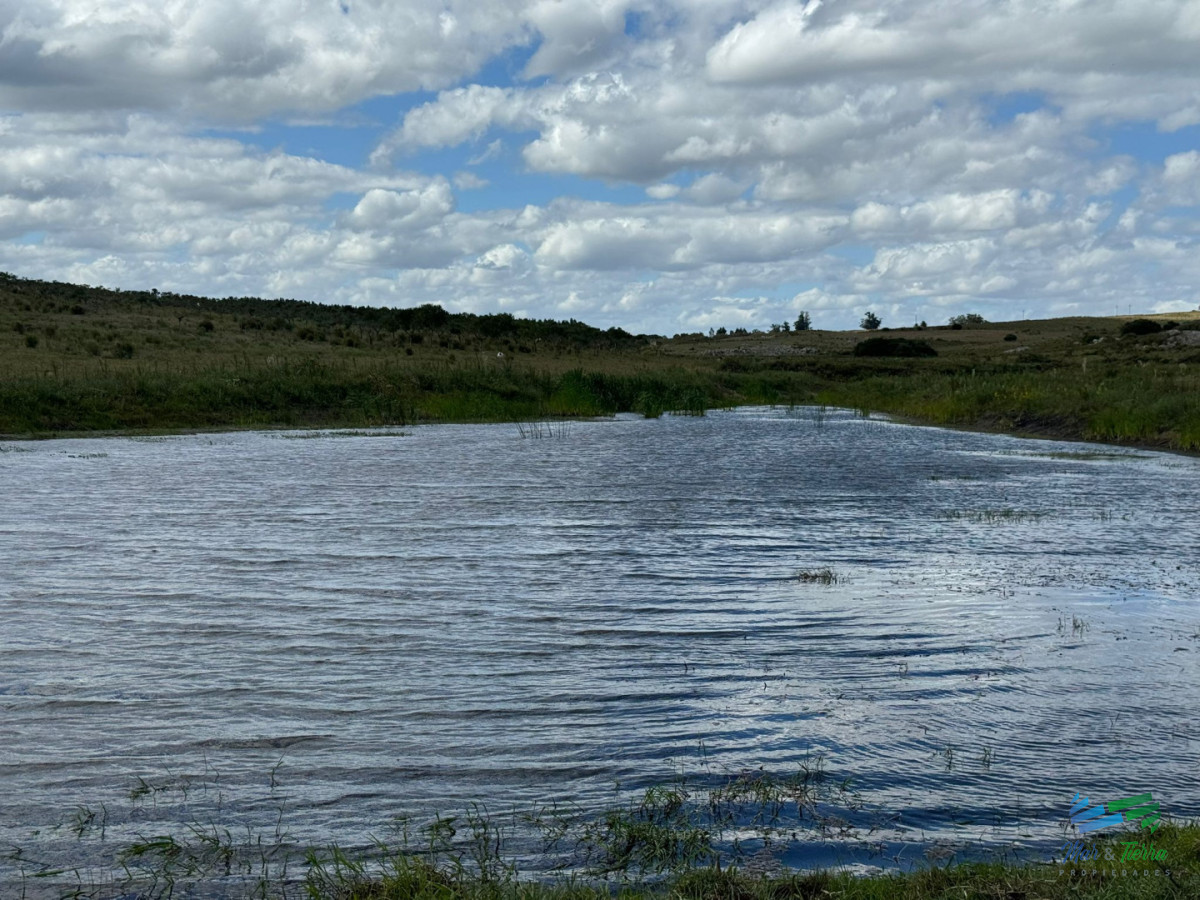 Chacra ID.5738 - En venta chacra 20 hectareas con Olivos en Ruta 9 cerca de Pan de Azúcar.