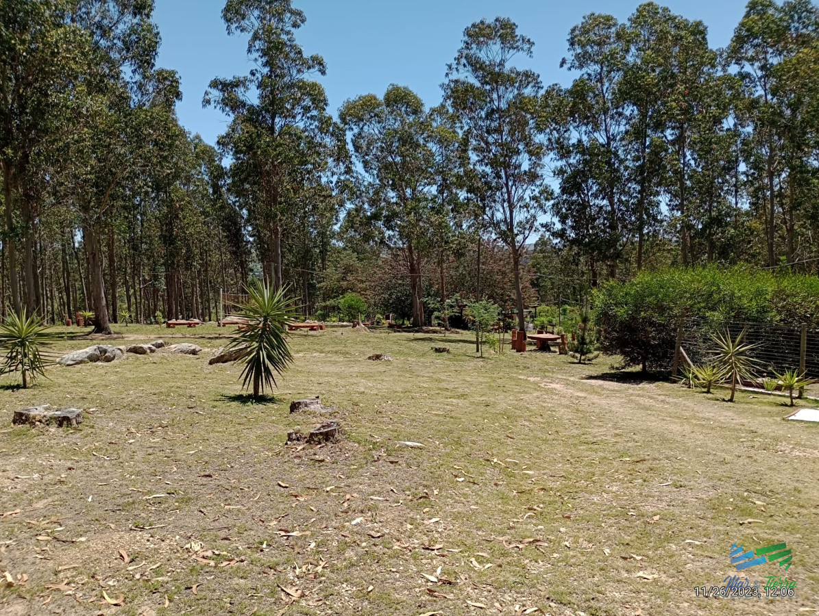Chacra ID.4845 - Muy linda chacra con casa, arbolada y bien ubicada