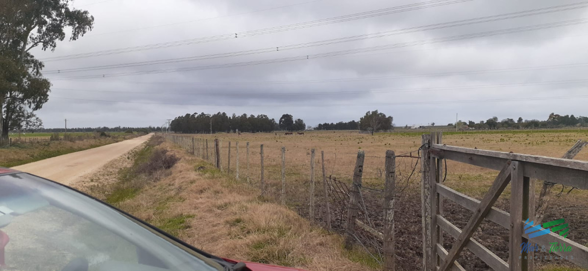 Chacra ID.4236 - 18 Has R.9, Km 80