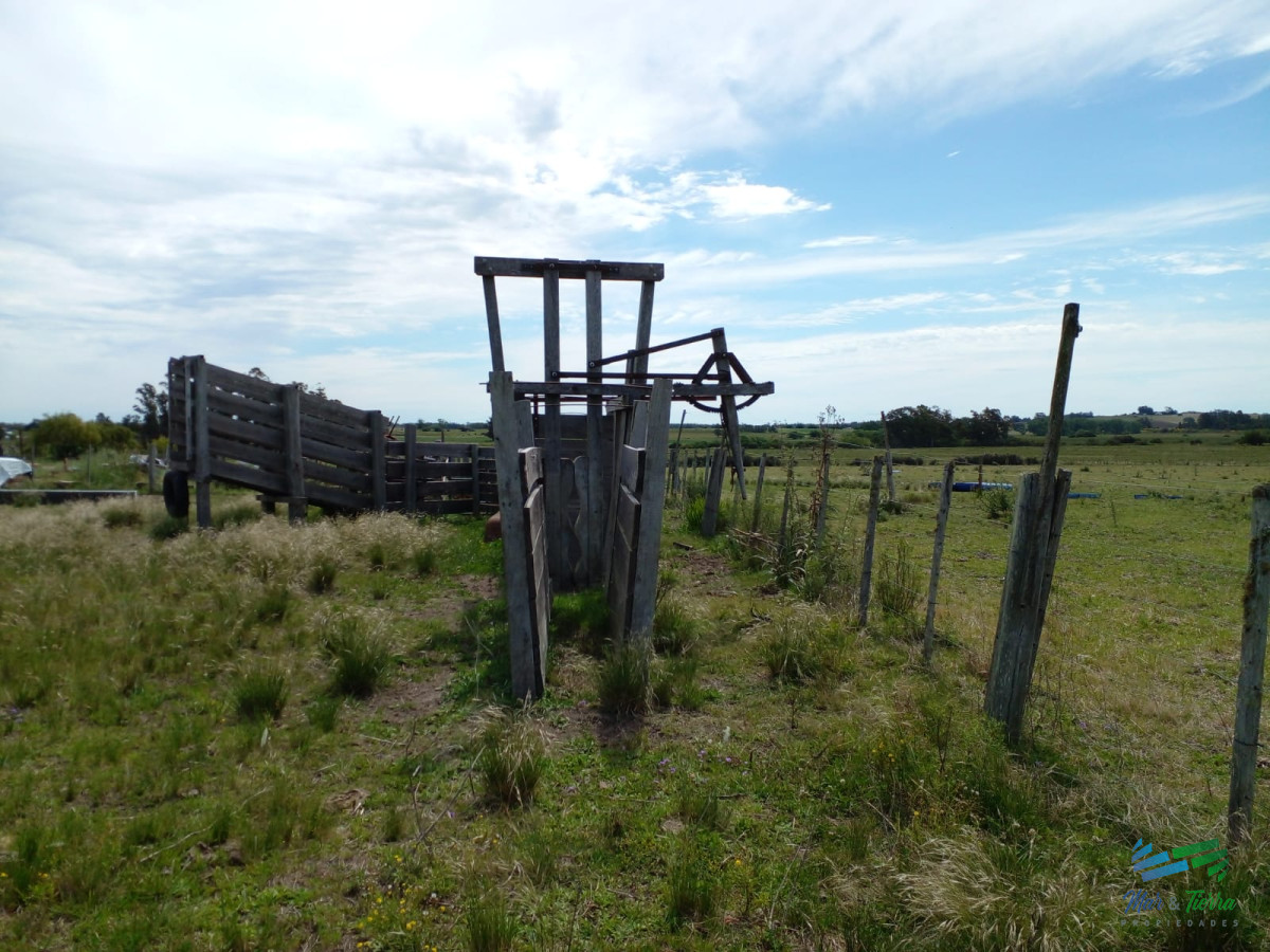 Chacra ID.4577 - 20 Has con Casa, sobre Ruta 12.