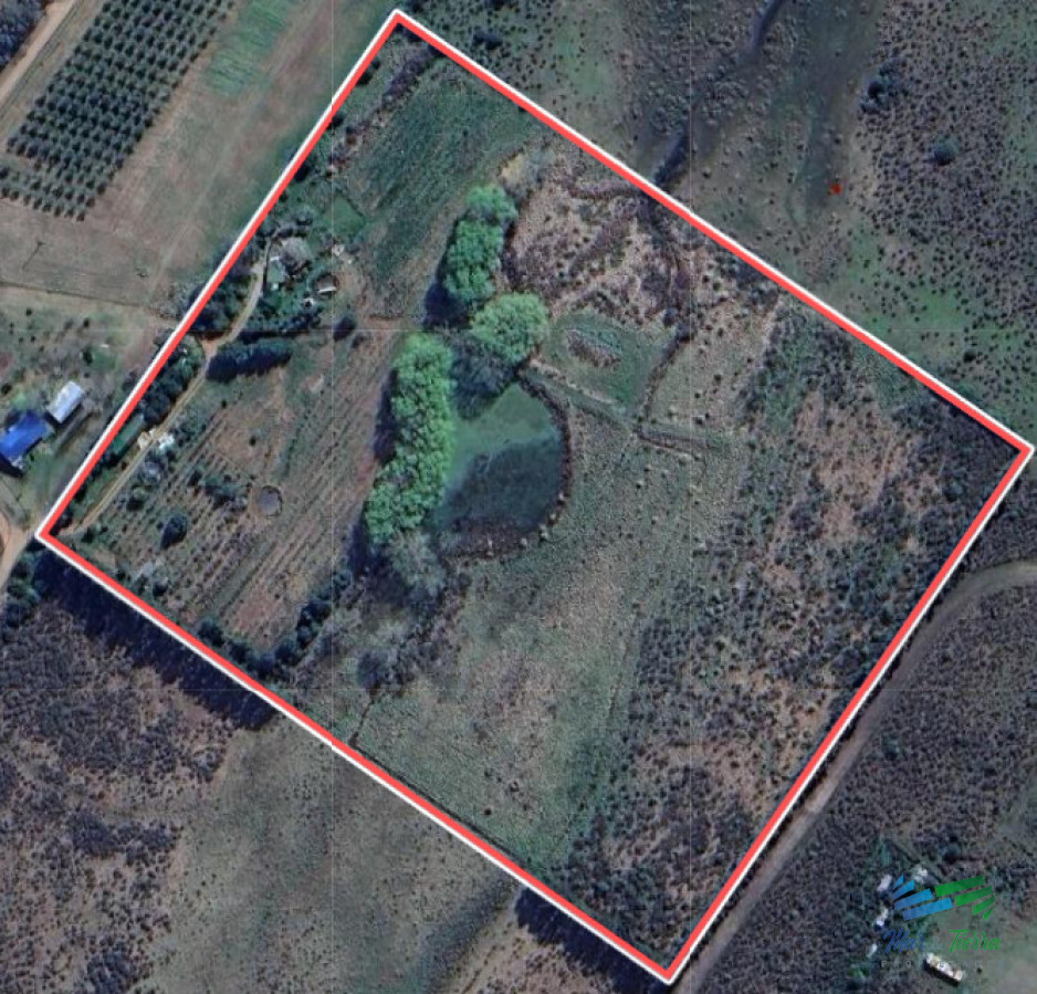 Laguna de los Cisnes - GoPunta - Portal Inmobiliario de Punta del Este - Maldonado