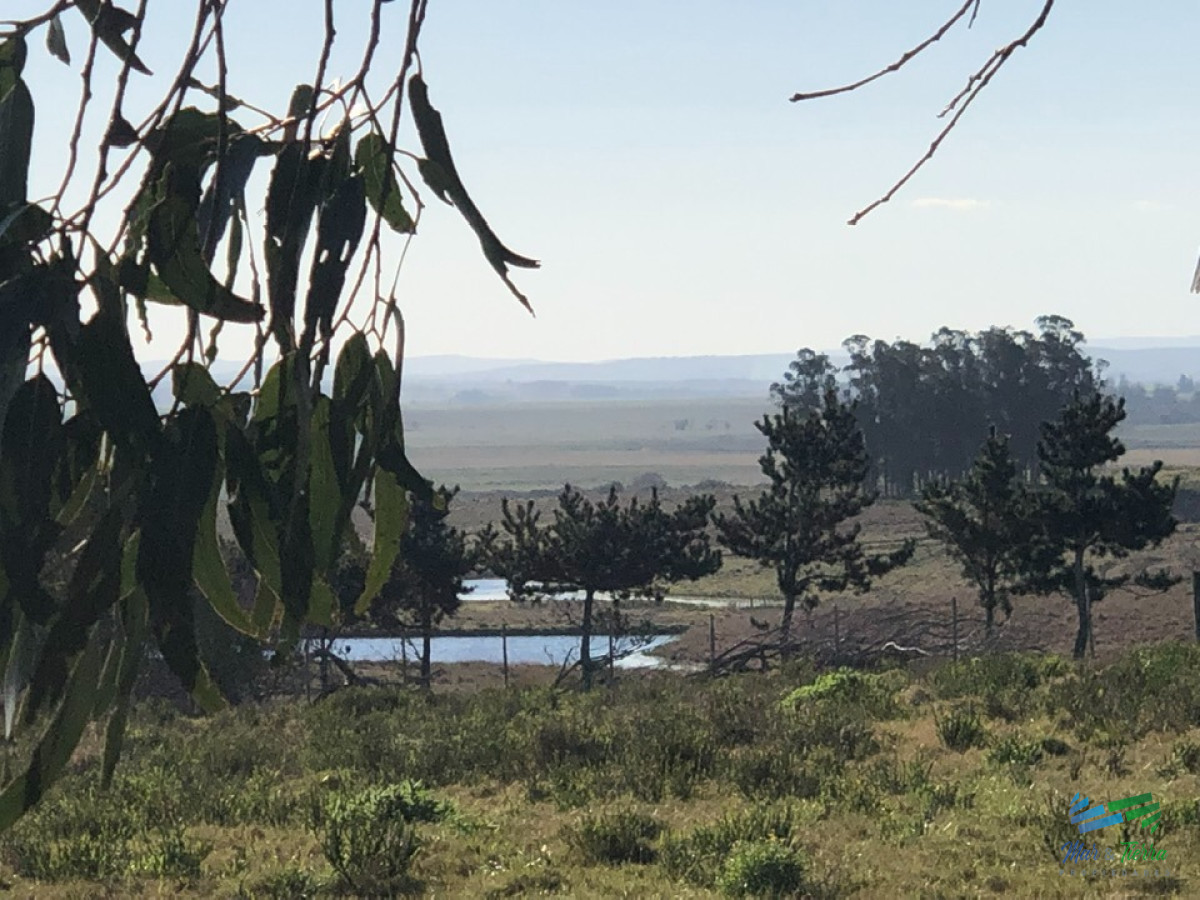 Chacra ID.4096 - Chacra Marítima, Vistas Increíbles del Mar y Laguna Garzón ! IMPERDIBLE !