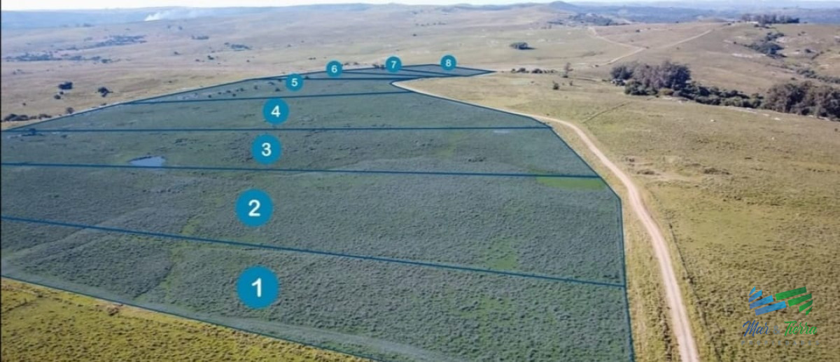 Zona Rural - GoPunta - Portal Inmobiliario de Punta del Este - Maldonado