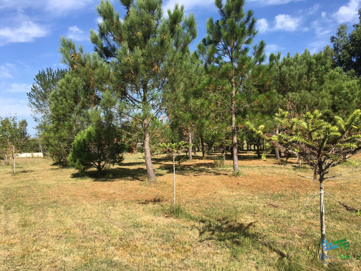 La Pataia - GoPunta - Portal Inmobiliario de Punta del Este - Maldonado