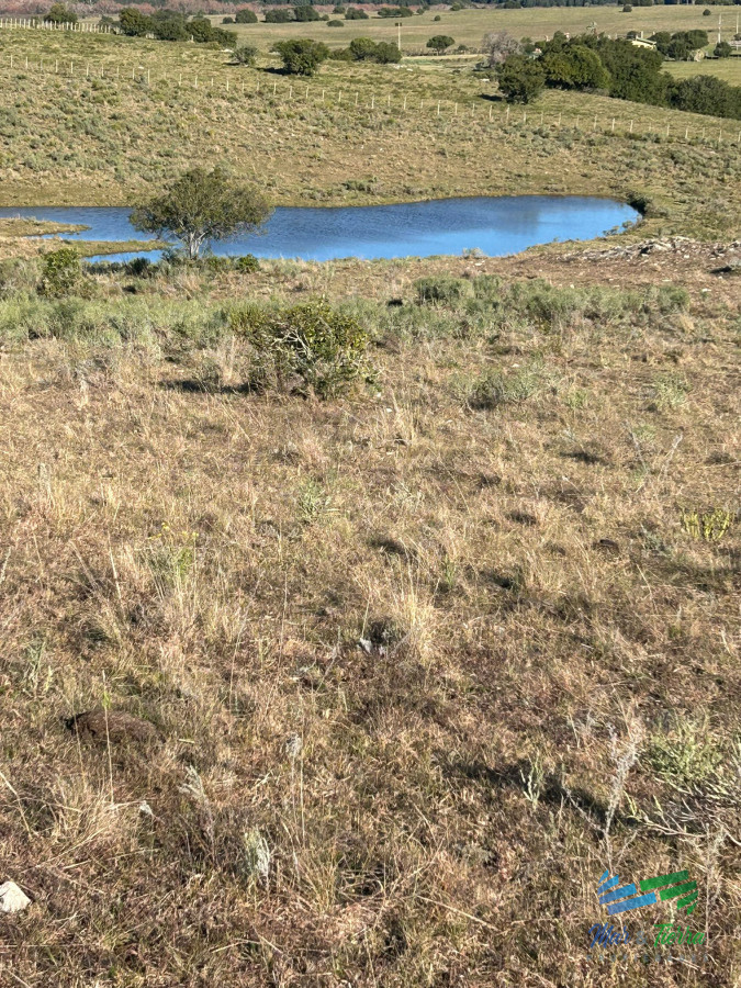 Chacra ID.5358 - 15 Has con todo lo que buscas, vistas increíbles, cañada, tajamar, monte nativo y a tan solo 30 minutos de Punta ! Financia...