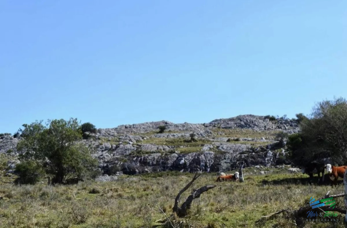Chacra ID.4249 - Chacras Serranas, 5 Has por $ 50.000...!!!