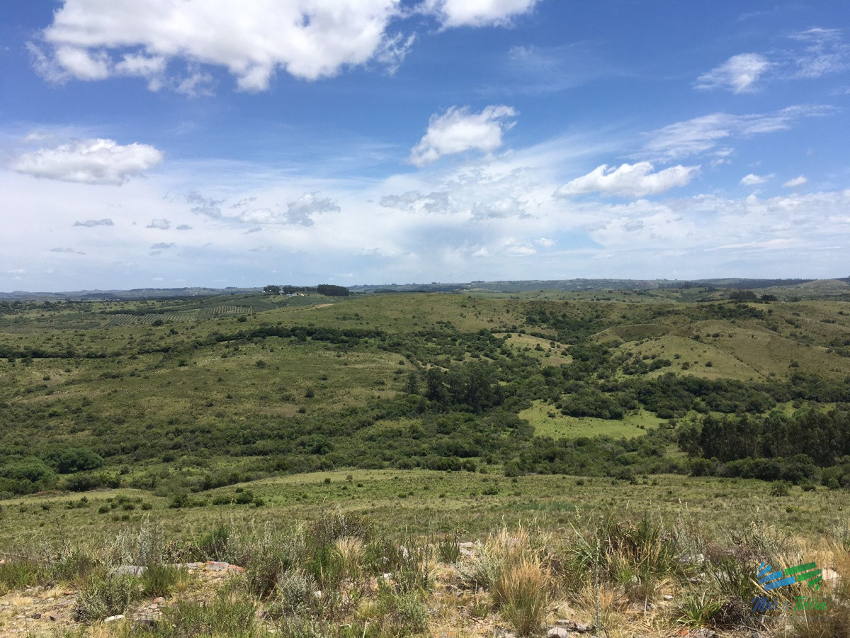 Chacra ID.4141 - Las mejores vistas de la zona IMPONENTE !