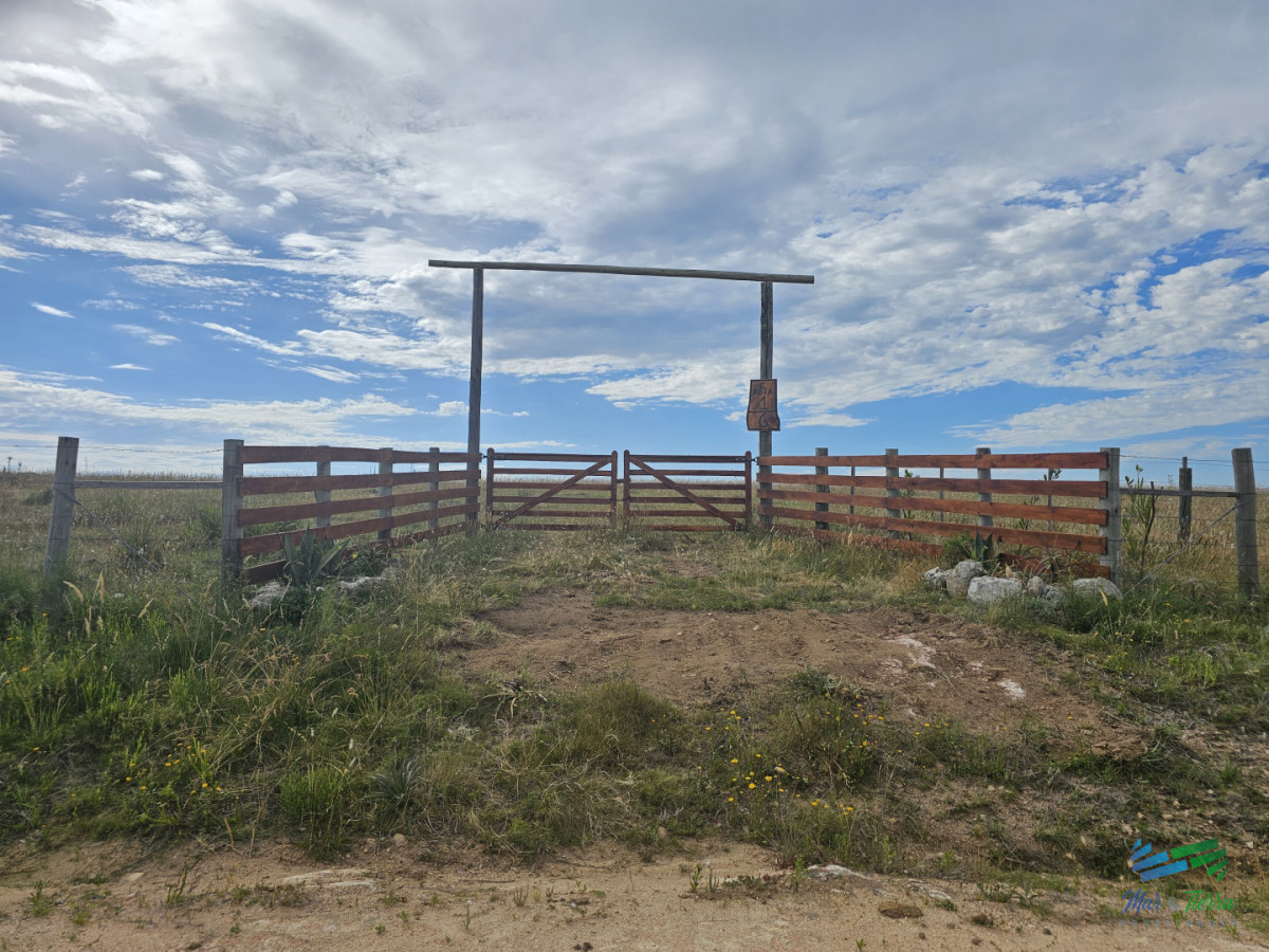 Chacra ID.5628 - En venta chacra 3 hectareas, proxima ruta 39, a pocos km de San Carlos.