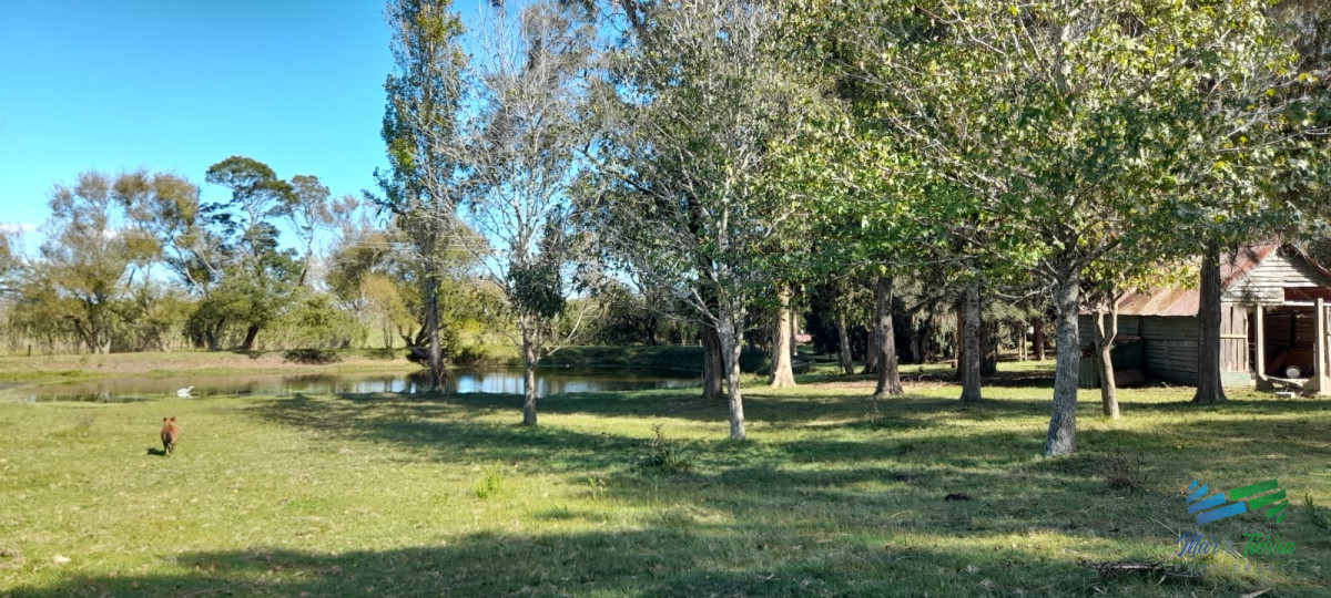 Chacra ID.4382 - A 20 minutos de Punta, Precios Chacra, 7 Has con todas las comodidades !